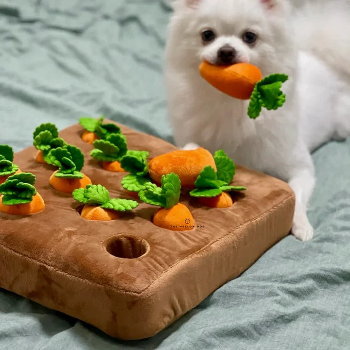 Carrot Patch Dog Toy