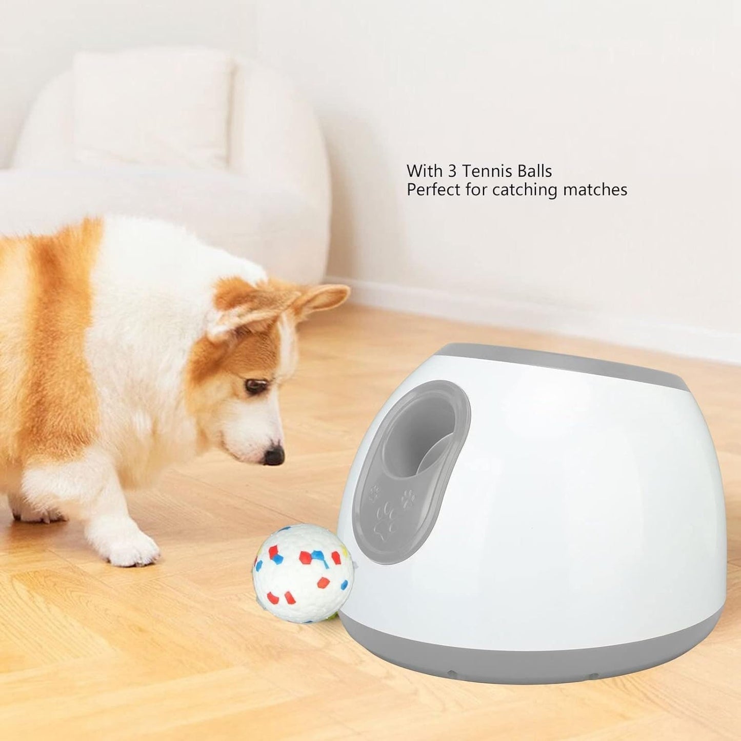 Automatic Dog Ball Launche