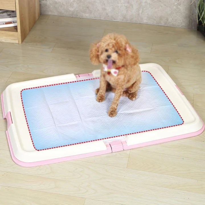 Foldable Dog Toilet — Indoor Pet Potty Training Pad