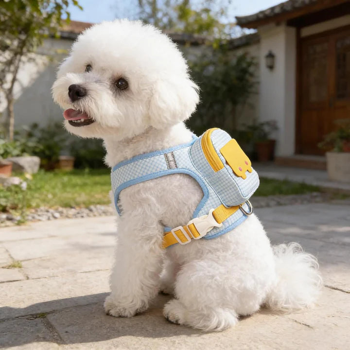 Backpack harness for dogs
