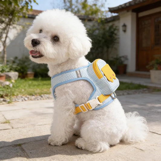 Backpack harness for dogs