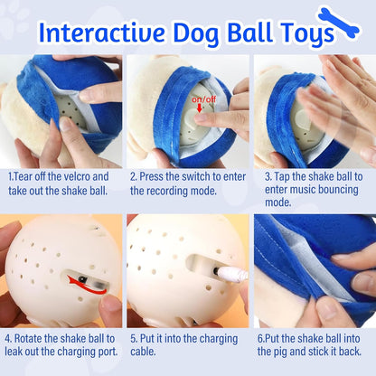 Interactive Bouncy Pet Ball — Self-Moving Electronic Dog Toy