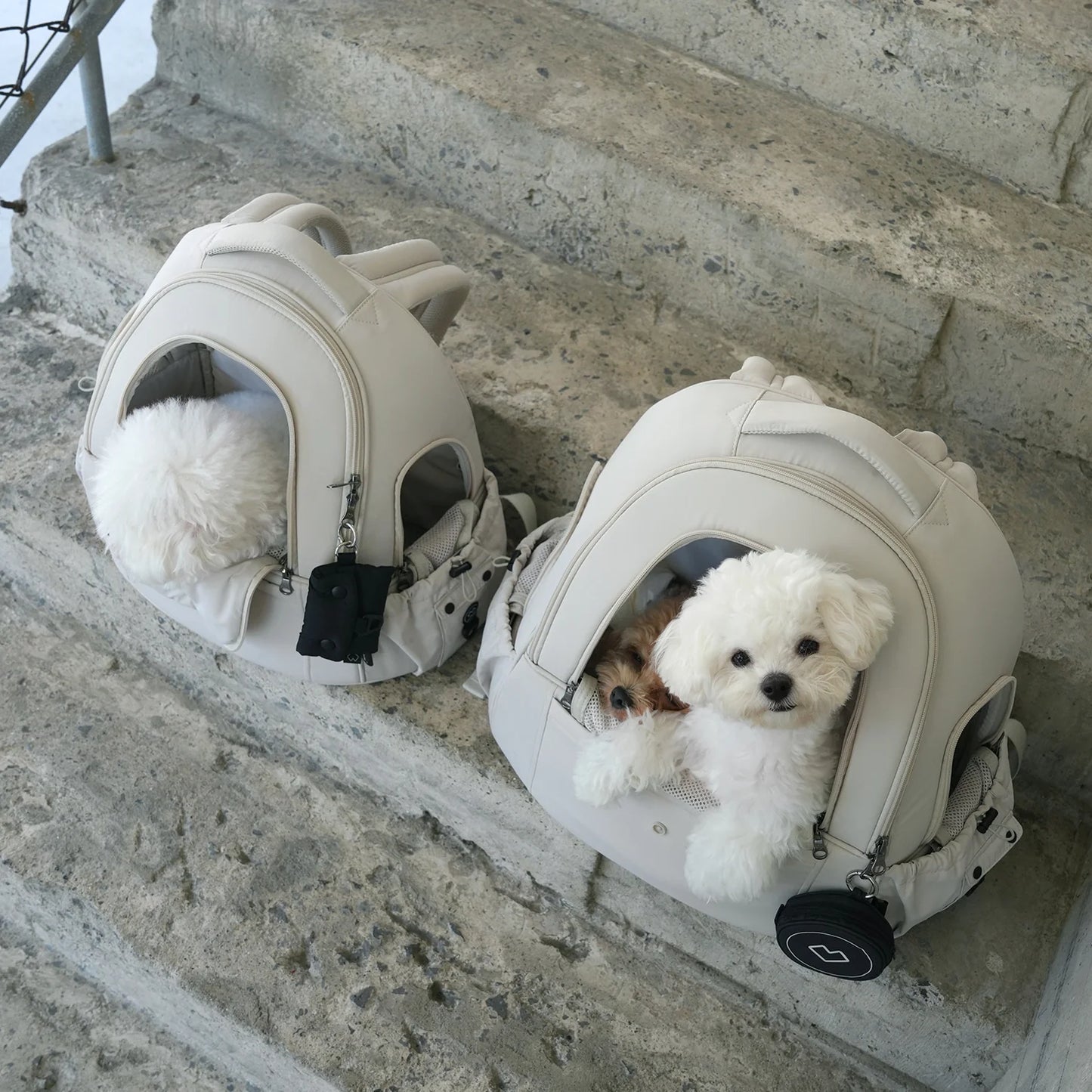 Bubble Pet Carrier Backpack