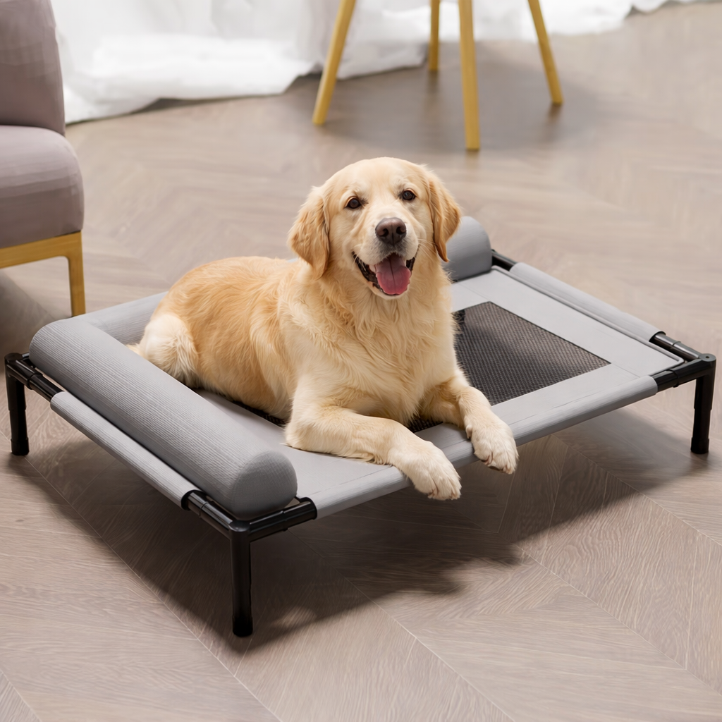 Elevated Pet Bed — Raised Dog & Cat Cot