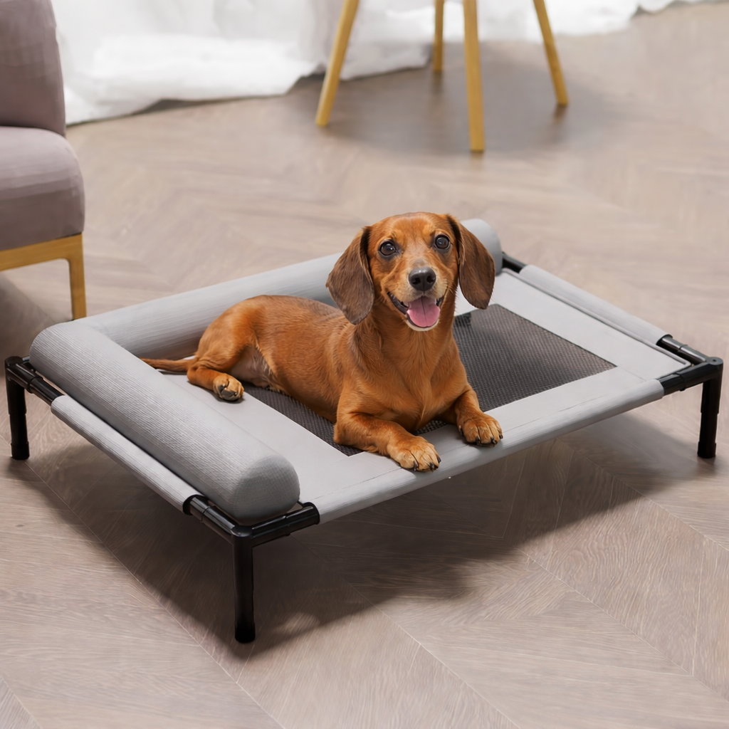Elevated Pet Bed — Raised Dog & Cat Cot