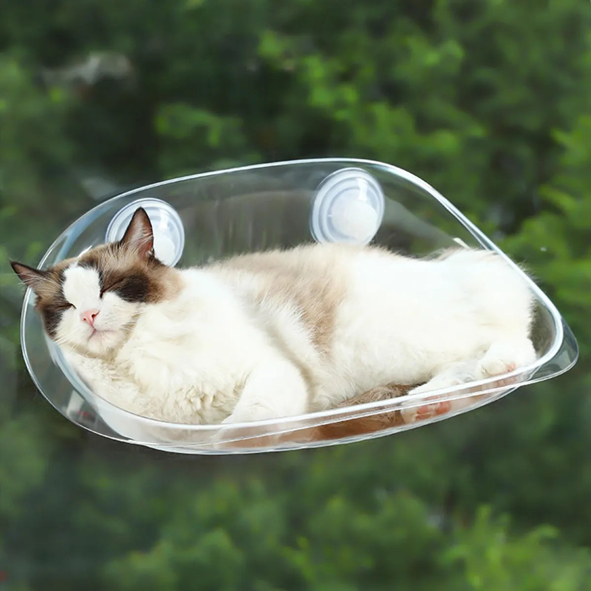 Modern Cat Bed