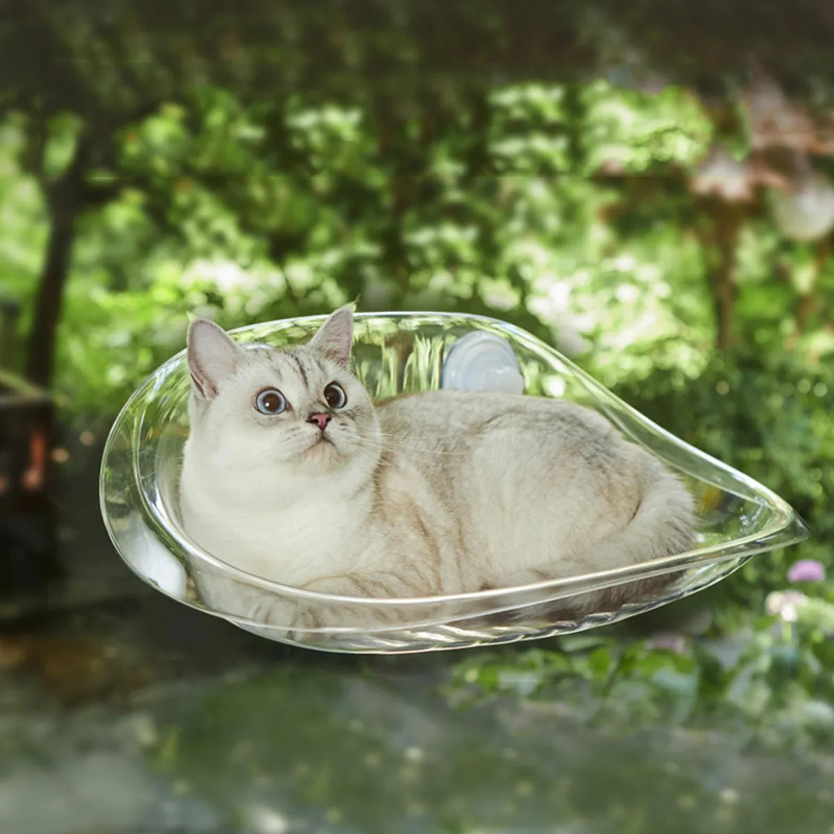 Cat Window Bed