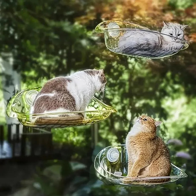 Cat Window Bed