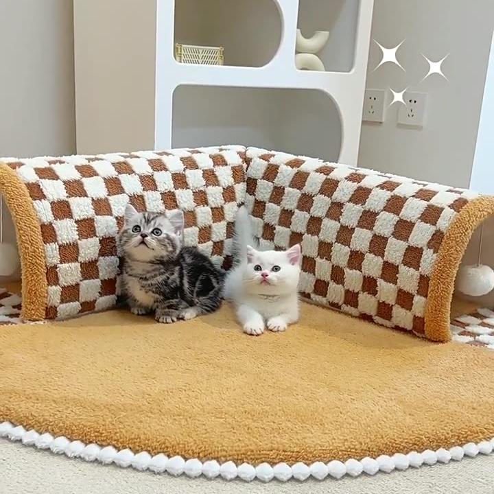 2-in-1 Cat Tunnel Bed — Play Mat & Hideaway Toy for Cats
