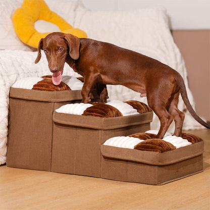 Pet Steps
