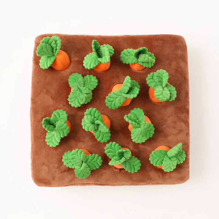 Carrot Patch Dog Toy