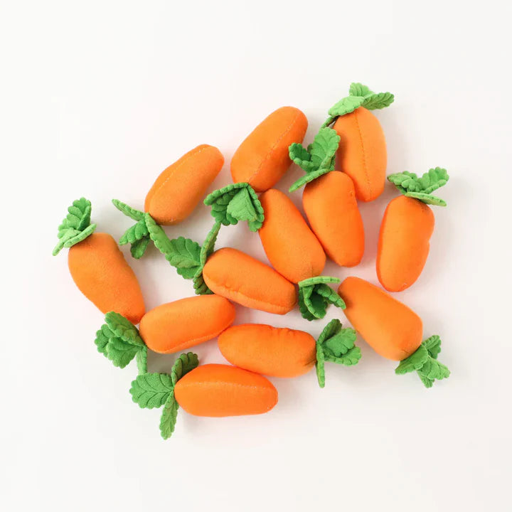 Carrot Patch Dog Toy