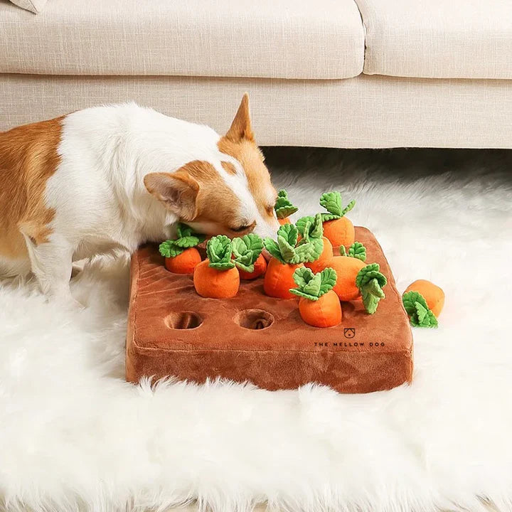 Carrot Patch Dog Toy