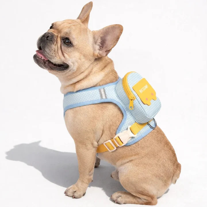 Backpack harness for dogs