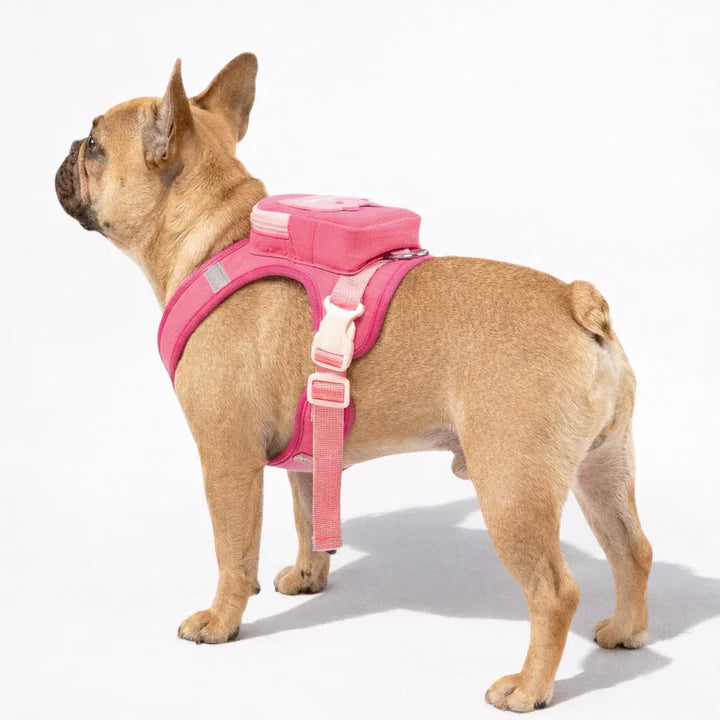 Backpack harness for dogs
