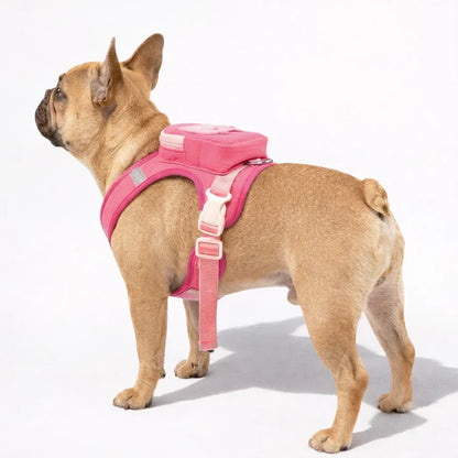 Backpack harness for dogs