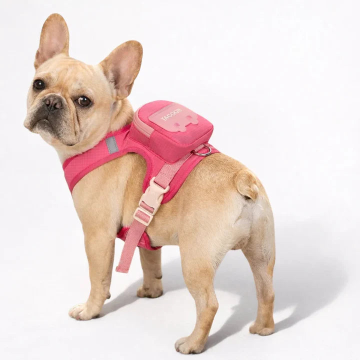 Backpack harness for dogs