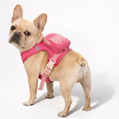 Backpack harness for dogs