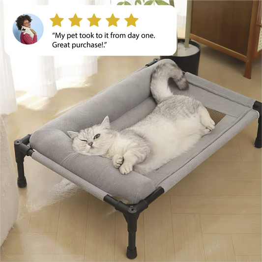 Elevated pet bed