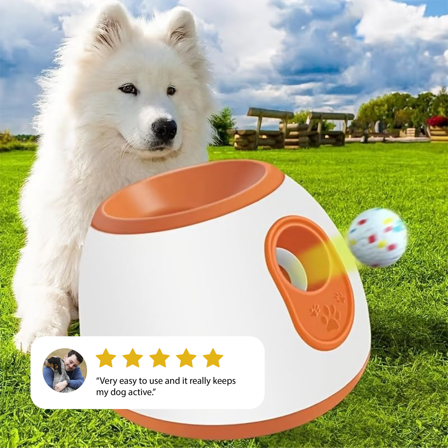 Automatic Dog Ball Launche