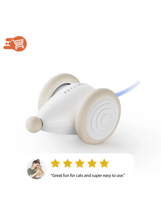 ChaseMouse Interactive Cat Toy