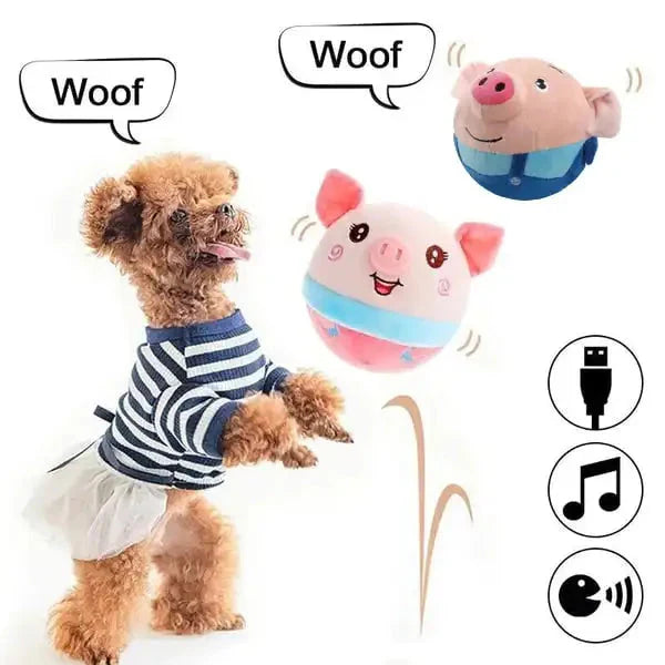 Interactive Bouncy Pet Ball | INCLUDES CHARGER