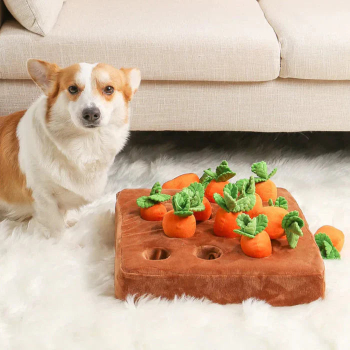 Carrot Patch Dog Toy