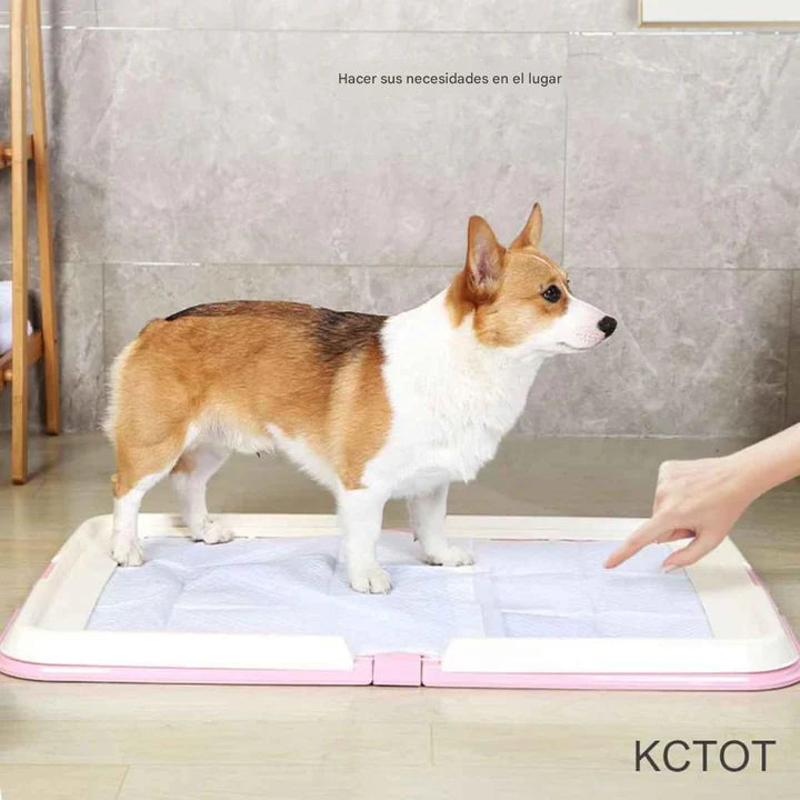 Foldable Dog Toilet — Indoor Pet Potty Training Pad
