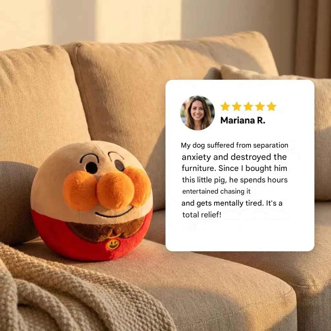 Interactive Bouncy Pet Ball | INCLUDES CHARGER