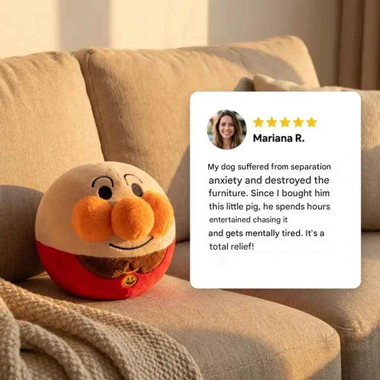 Interactive Bouncy Pet Ball | INCLUDES CHARGER