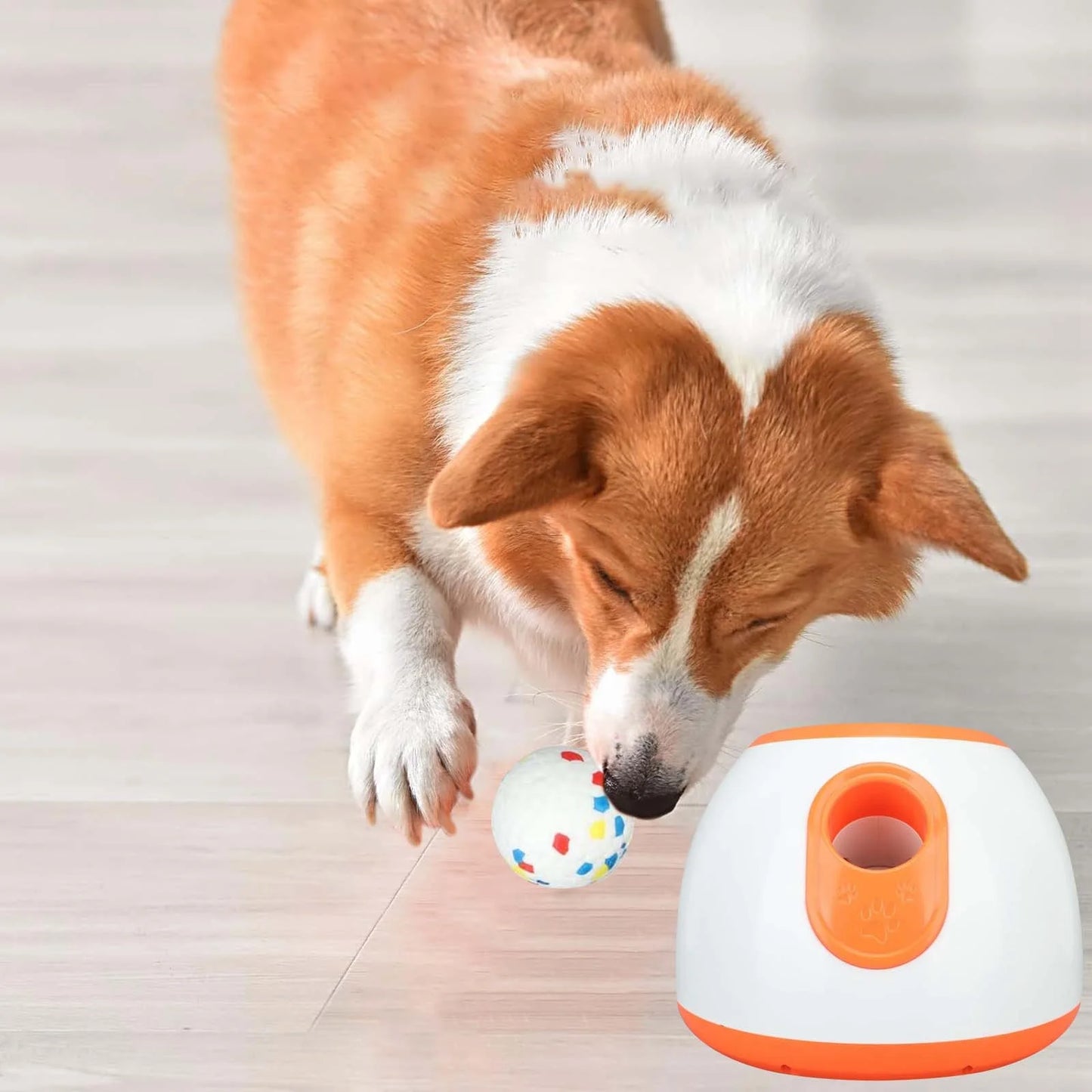 Automatic Dog Ball Launche