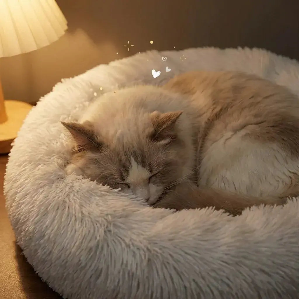 Tunnel Pet Bed