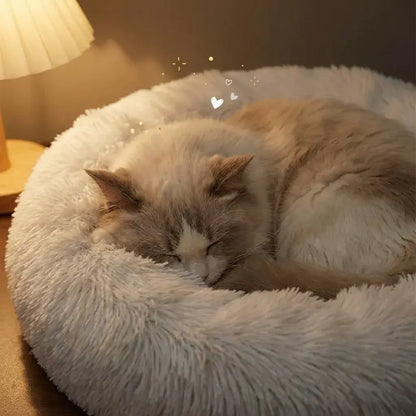 Tunnel Pet Bed